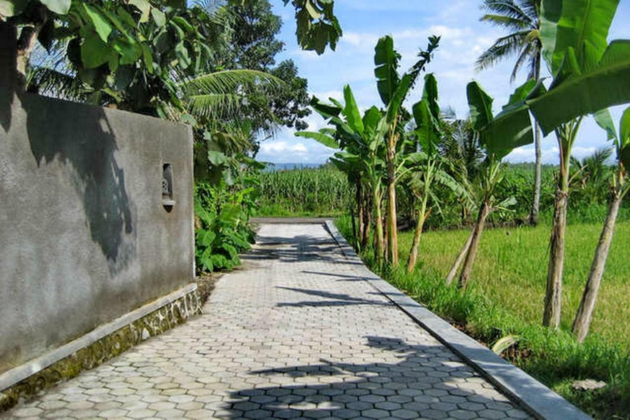 The Sawah Home Hotel ยอกยาการ์ตา ภายนอก รูปภาพ